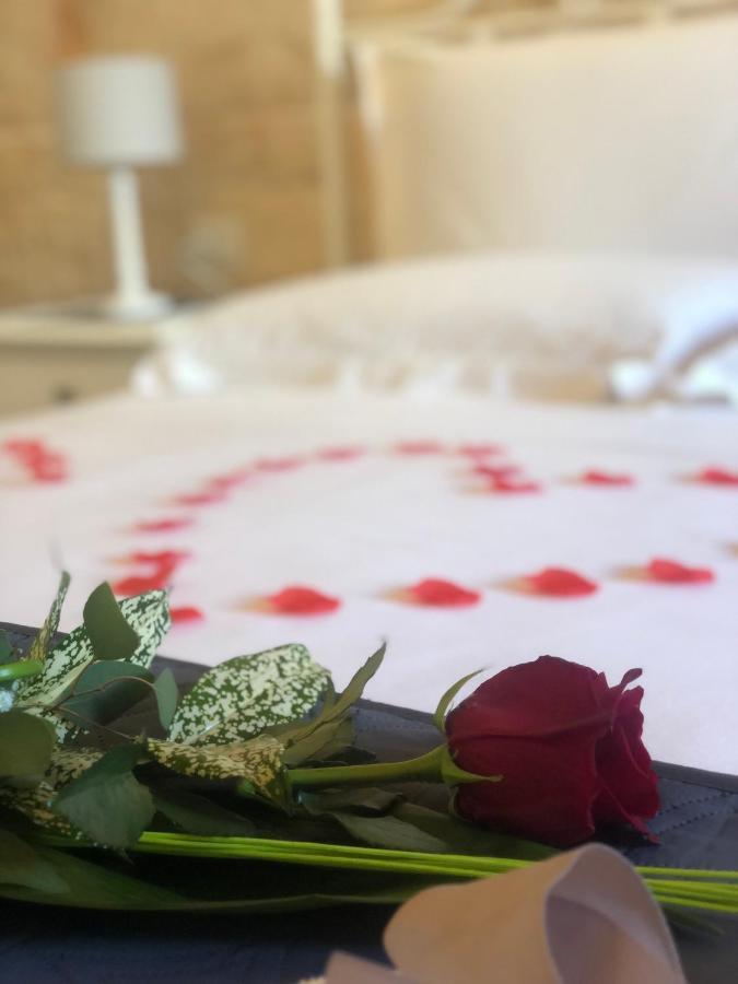 알베르벨로 Nido Di Pietra-Dimora In Centro B&B 외부 사진